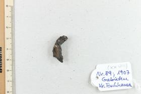 Fibelfragment