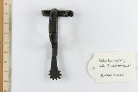 Sternfußfibel