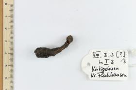 Gürtelschnallenfragment