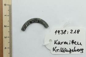 Ringfragment