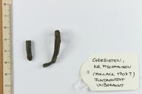 Schnallendorn