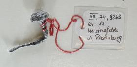Eisenniet