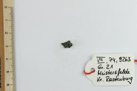 Gürtelbeschlag