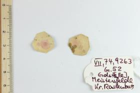 Anhängerfragment