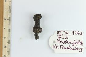 Gürtelschnallenfragment