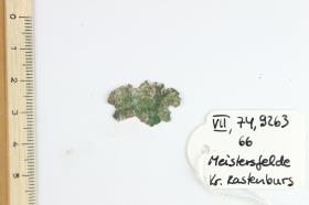 Beschlag