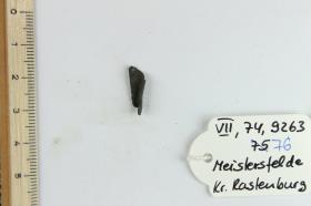 Fibelfragment