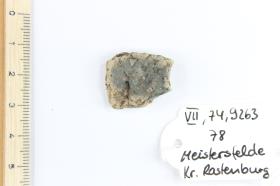 Gefäßscherbe