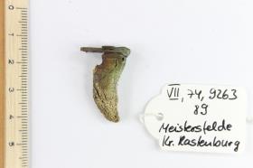 Bärenkrallenanhänger