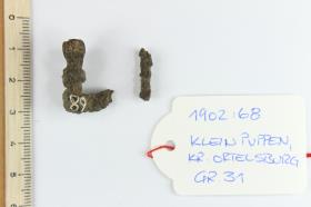 Gürtelschnallenfragment