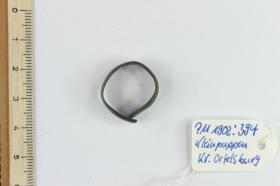 Fingerring