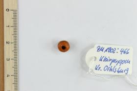 Glasperle