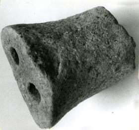 Fragment einer Schweineschnauze