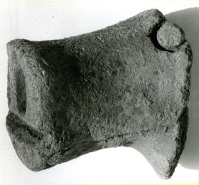 Fragment einer Schweineschnauze