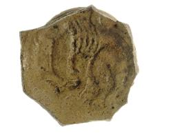 Schale, Fragment (Boden)