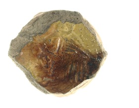 Schale, Fragment (Boden)
