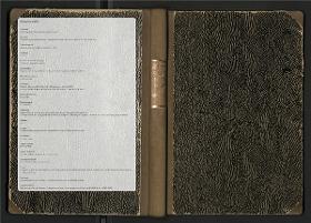 Skulpturensammlung Platten-Inventar 2321 - 4320