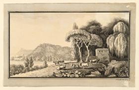 Mediterrane Küstenlandschaft mit Viehherde