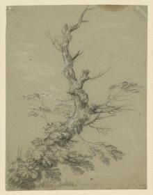 Absterbender Baum