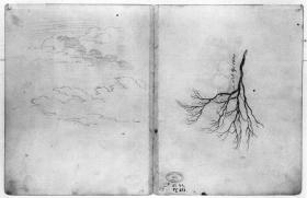 Wolkenstudie, kahler Baum