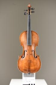 Violine
