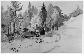 Waldpartie mit Holzsteg bei Einsiedeln