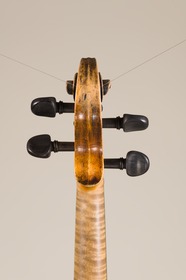 Violine