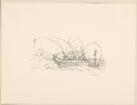 Schweine (aus: Vom Fressen der Tiere)