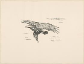 Adler (aus: Vom Fressen der Tiere)