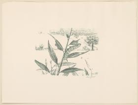 Raupe  (aus: Vom Fressen der Tiere)