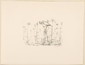 Meise (aus: Vom Fressen der Tiere)