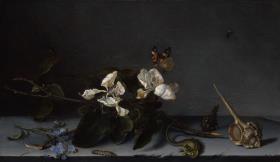 Quittenblütenzweig und Schneckenhäuser