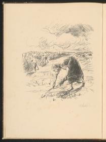 Ruth auf dem Felde (Blatt 1 (S.6) aus: Das Buch Ruth)