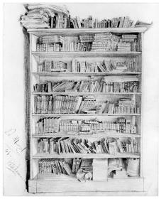 Puhlmanns Bücherregal