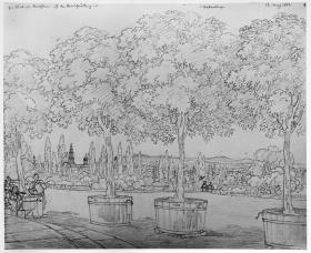 Blick von der oberen Terrasse in Sanssouci durch Orangenbäume auf den Brauhausberg und die Ravensberge.