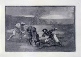 Toros y toreros / Stiere und Stierkämpfer (Tauromaquia 2)