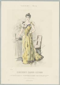 Illustrirte Frauen-Zeitung: Gesellschafts-Toilette