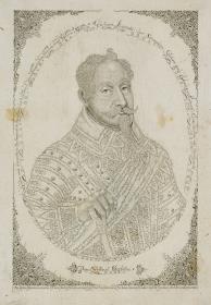 Gustav Adolf (Kalligraphisches Porträt), Mikrographie