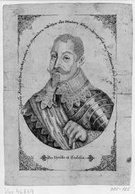 Gustav Adolf, Mikrographie