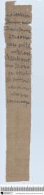 Demotischer Papyrus, Hochformat-Brief wegen Weinlieferung an einen Lesonis-Priester