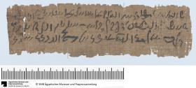 Demotischer Papyrus, Querformatbrief bezüglich finanzieller Angelegenheiten der Priester