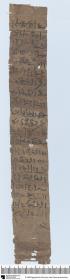 Demotischer Papyrus, Brief bzgl. einer Orakelfrage [?]