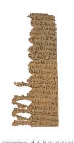 Demotischer Papyrus, Hochformatbrief, Bitte um Hilfe in Hunger und Krankheit