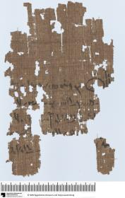 Demotischer Papyrus, Vertrag