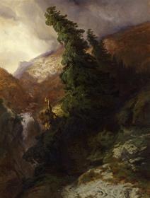 Hochgebirgsschlucht (Handeggtal im Kanton Bern)