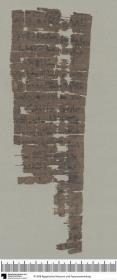 Demotischer Papyrus, Hochformatbrief