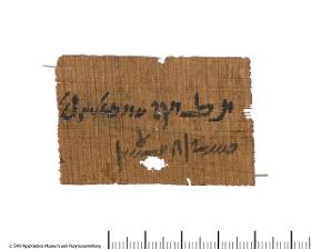 Demotischer Papyrus, Orakelfrage, den Steuererheber des Jahres 6 betreffend