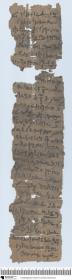 Demotischer Papyrus, Hochformatbrief, Bericht über Klage wegen falsch weidender Kühe