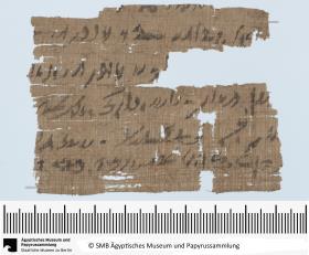 Demotischer Papyrus, Querformatbrief bzgl. eines Gartens