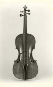 Violine
